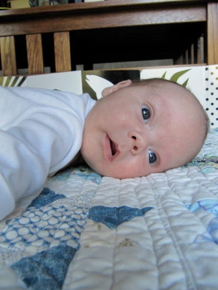 Sam the Man, photo by his daddy