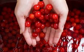 cherries in hand