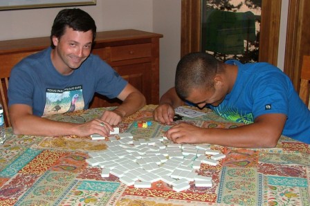 dominos, fabric 011 (2)