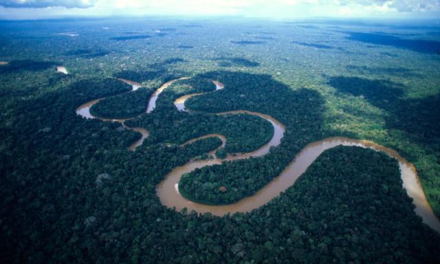 meandering_amazon_(c)_WWF-Canon__Andre_Bartschi