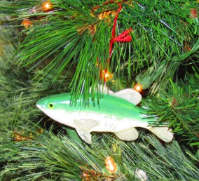 To commemorate an Idaho fishing trip.