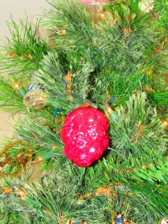 The antique raspberry that belonged to my father and grandparents.