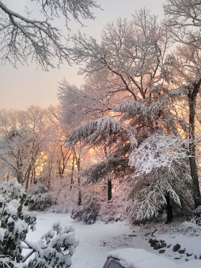 IMG_20160205_170225_hdr